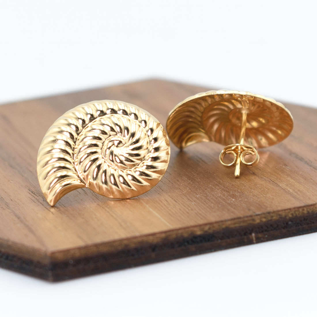 Lightweight Nautilus Marine Ocean Theme Sea Shell Stud Earrings, 18k Yellow Gold Filled, 0.82" Inch