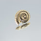 Lightweight Nautilus Marine Ocean Theme Sea Shell Stud Earrings, 18k Yellow Gold Filled, 0.82" Inch